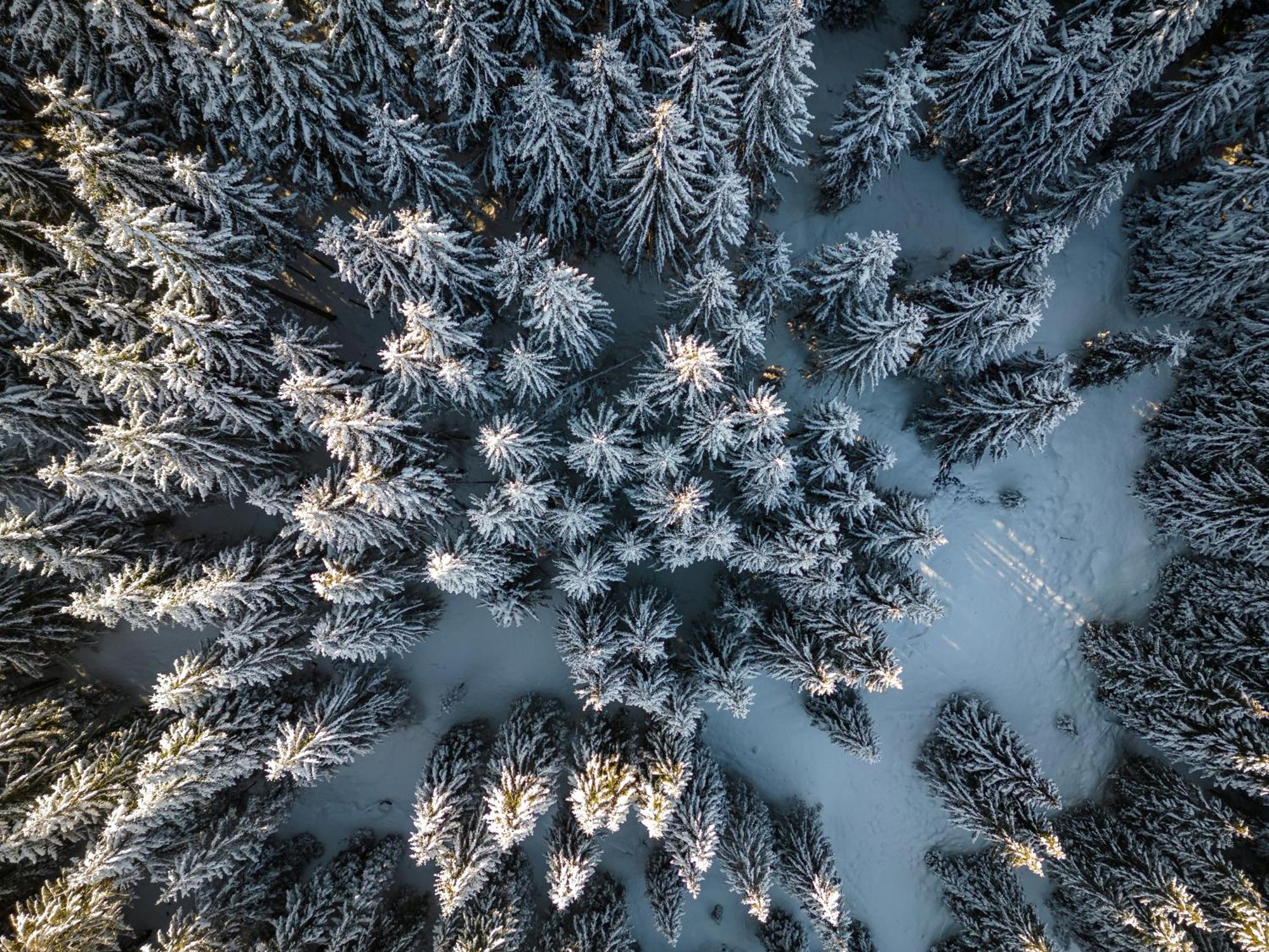 Hartungs Hoteldorf Füssen Dış mekan fotoğraf