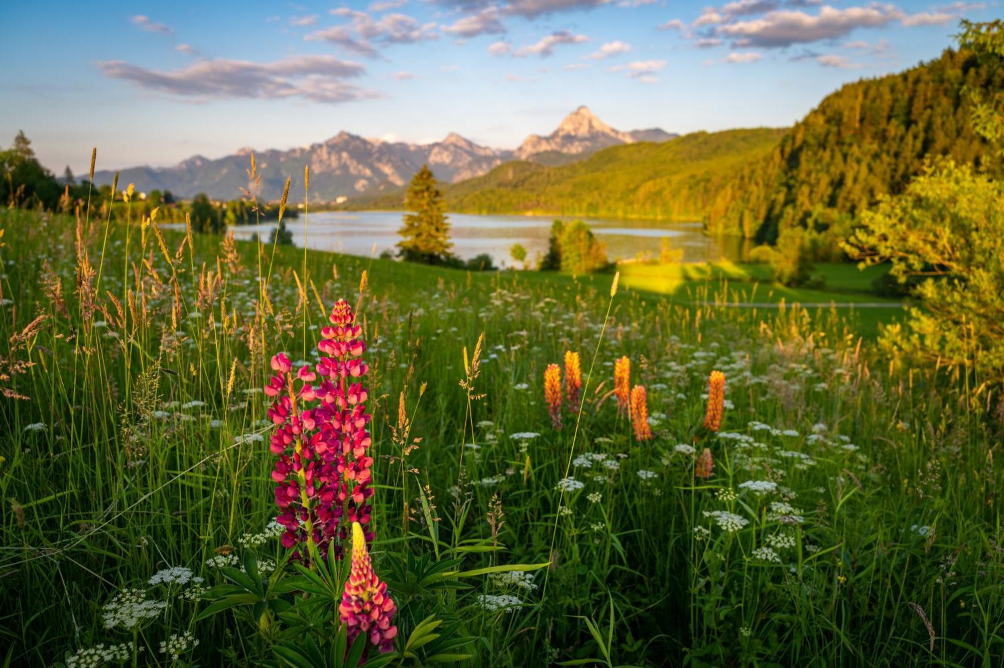 Hartungs Hoteldorf Füssen Dış mekan fotoğraf