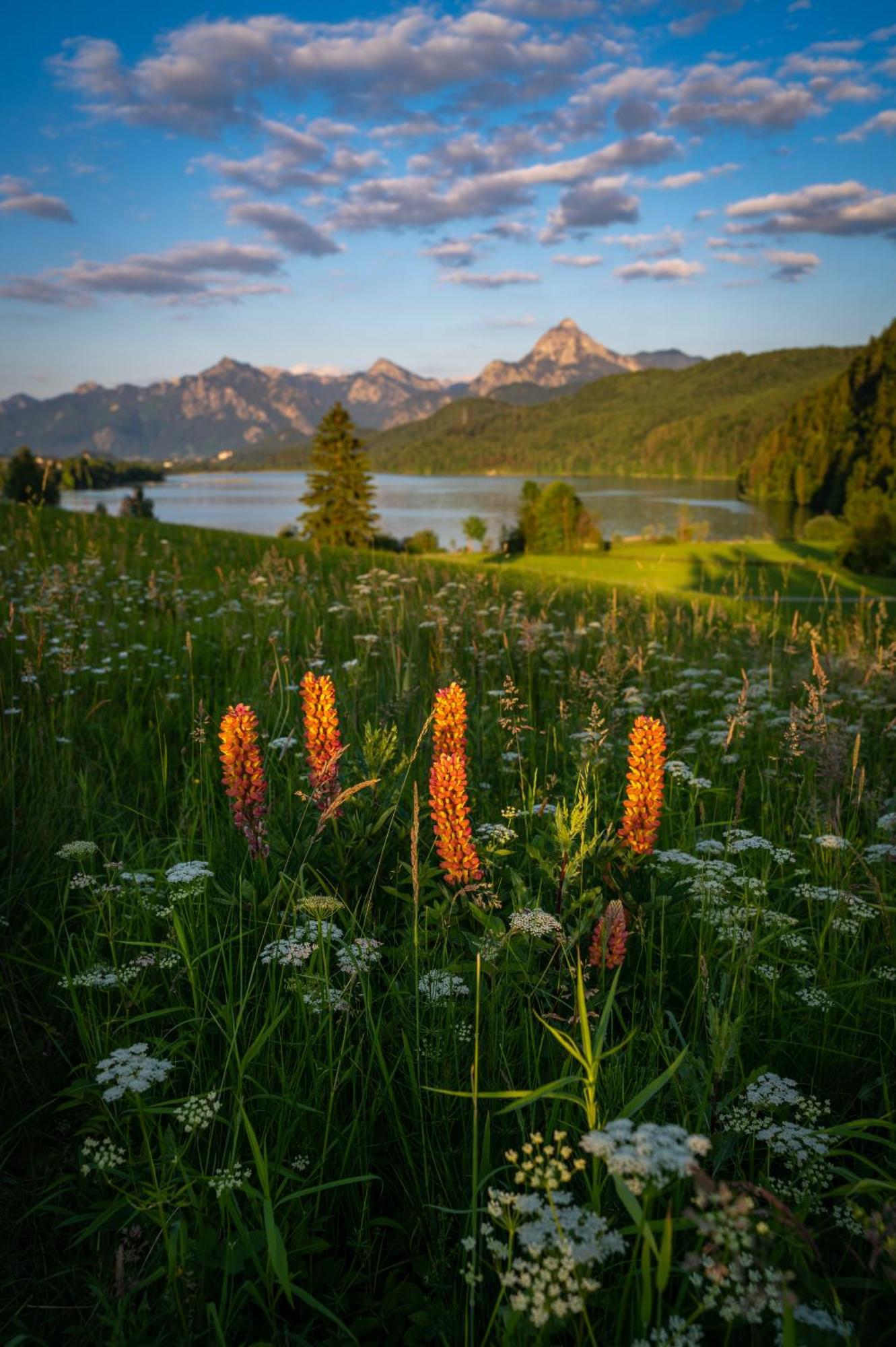 Hartungs Hoteldorf Füssen Dış mekan fotoğraf